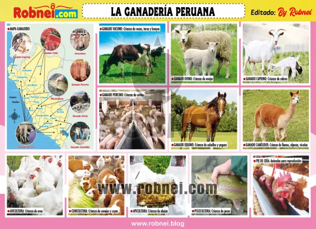 La Ganaderia Peruana